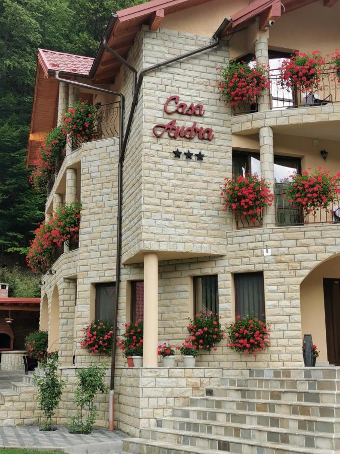 Casa Andra Hotel Slănic-Moldova Exterior foto
