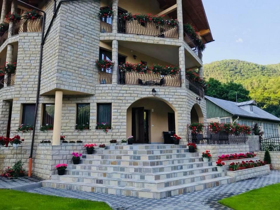 Casa Andra Hotel Slănic-Moldova Exterior foto