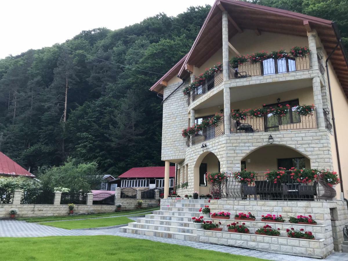 Casa Andra Hotel Slănic-Moldova Exterior foto